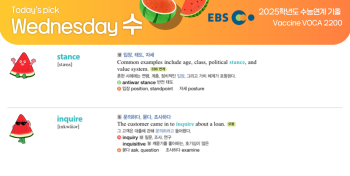 2025년 11월 12일 수요일 Today's Pick