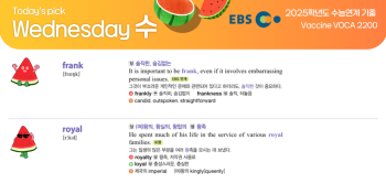 2025년 12월 31일 수요일 Today's Pick