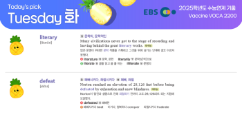 2026년 2월 24일 화요일 Today's Pick