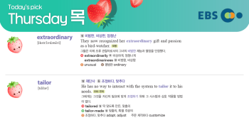 2026년 3월 19일 목요일 Today's Pick