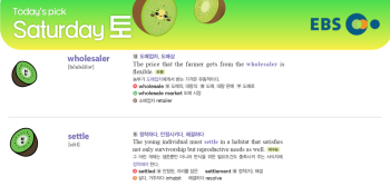 2026년 3월 28일 토요일 Today's Pick