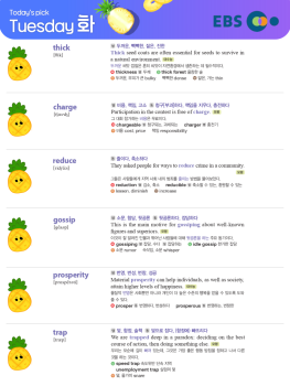 2026년 4월 14일 화요일 Today's Pick