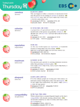 2026년 5월 14일 목요일 Today's Pick